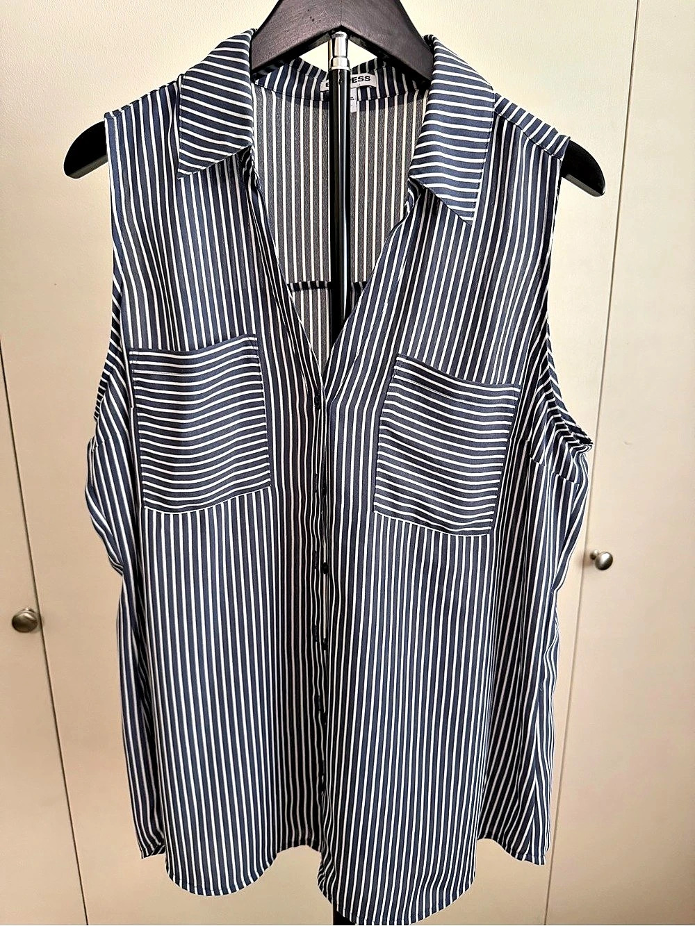 Express Striped Sleeveless Button Down Top in Blue & White Size Large